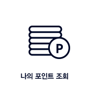 나의 포인트 조회